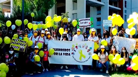 Ley de oncopediatría qué establece la norma sancionada en el Congreso