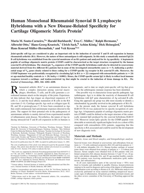 Pdf Human Monoclonal Rheumatoid Synovial B Lymphocyte Hybridoma With