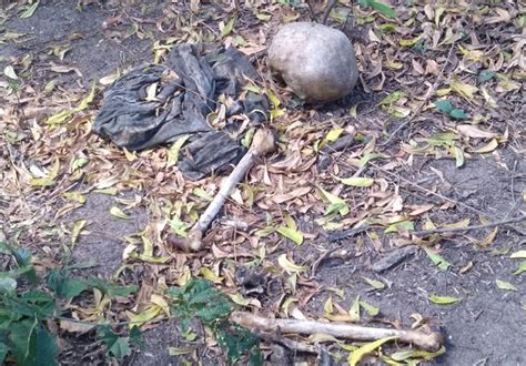 Ossada humana é encontrada em matagal na zona Leste EL PIAUÍ