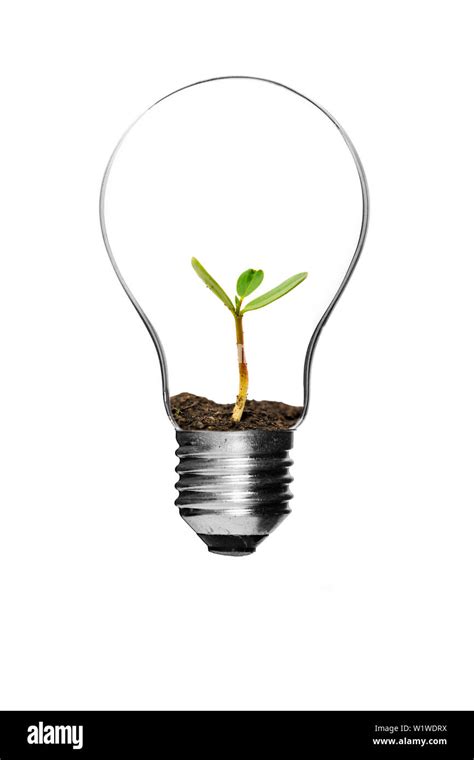 Light Bulb Isolated Realistic Photo Image Stock Photo Alamy