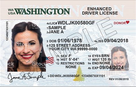 Different Types Of Licenses In The Us Eroelectric