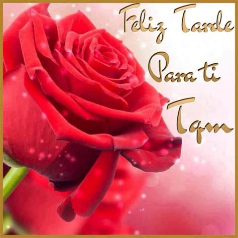 Hermosas Imágenes de Flores con Frases Para Dedicar