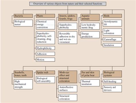 The nature vs nanotechnology | Download Scientific Diagram