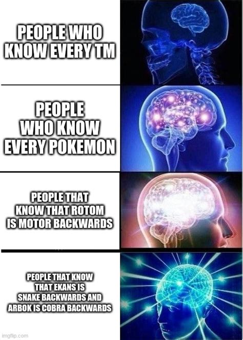 Expanding Brain Meme Imgflip