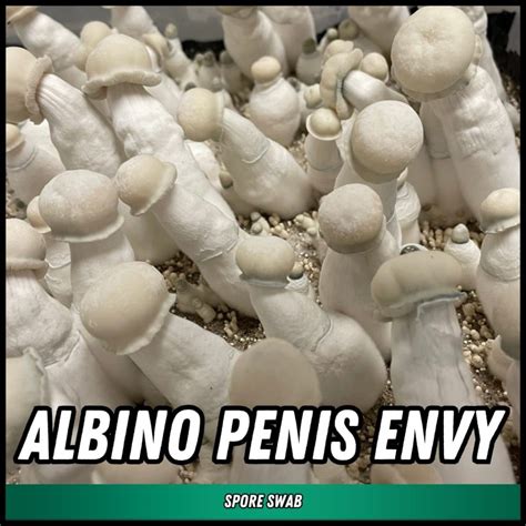 Albino Penis Envy Spore Syringe P Cubensis Shop Now