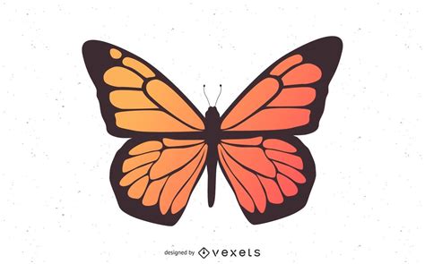 Vectores De Mariposas