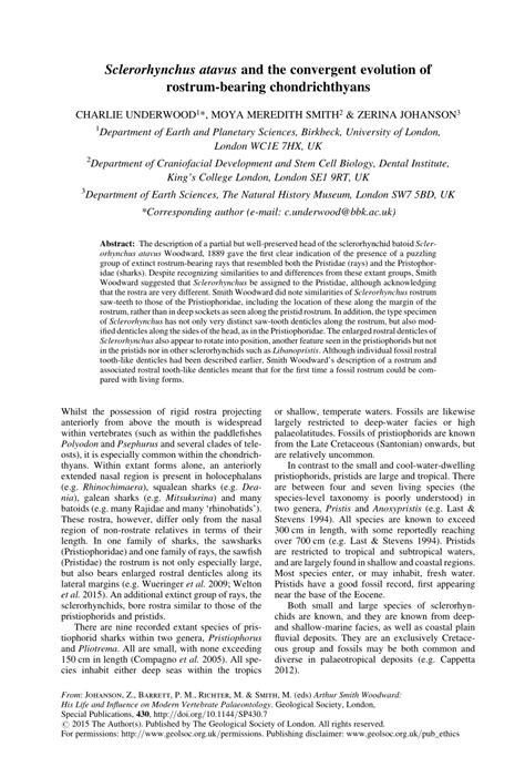 (PDF) Sclerorhynchus atavus and the convergent evolution of rostrum-bearing chondrichthyans