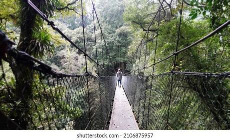 483 Gunung Gede Pangrango Images, Stock Photos & Vectors | Shutterstock