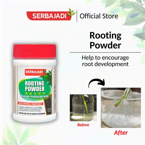 Serbajadi Rooting Powder Iba Root Hormones Powder Serbuk Penggalak