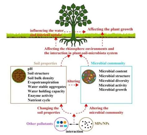 Science Of The Total Environment