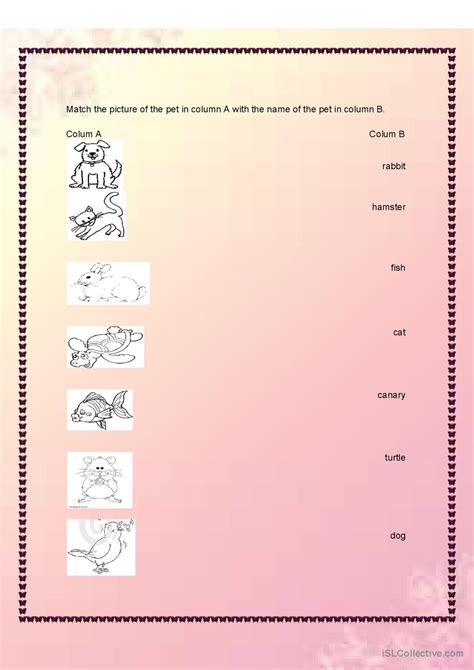 Pets English Esl Worksheets Pdf And Doc