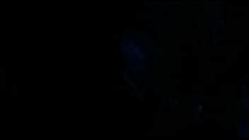 VID WA XVIDEOS