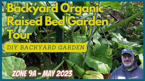 May Backyard Raised Bed Garden Tour Zone 9A YouTube