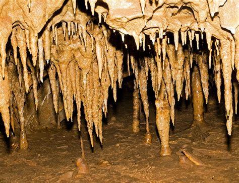 Stalactites Formation In Florida Photograph by Millard H. Sharp