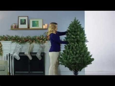 Grow And Stow Christmas Tree Home Depot - Christmas Cookies 2021