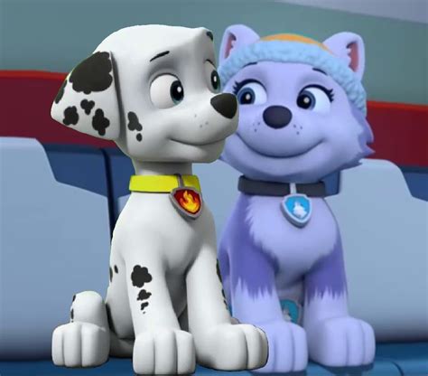 Paw Patrol Pups Marshall Paw Patrol Everest Paw Patrol Atelier Yuwaciaojp