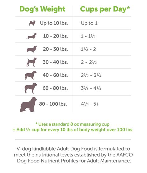 How Much To Feed A 20 Pound Dog
