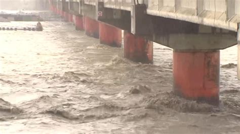 小犬挾風雨 花蓮秀姑巒溪滾滾黃水、台東巨樹倒 東森最即時最快速新聞