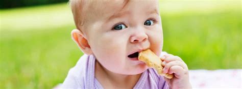 The Best Foods for a 10 Month Old Baby | New Ways Nutrition