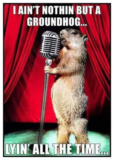 The Funniest 2024 Groundhog Day Memes To Share Lola Lambchops