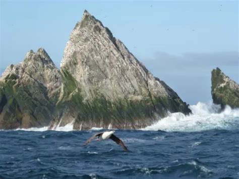 Antarctic Wildlife Adventure To Antarctica Falkland Islands South