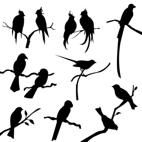 Bird Silhouettes Stock Vector Lemony