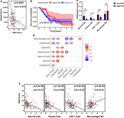 A Correlation Analysis Between The Immune Score In Tumor Tissues And