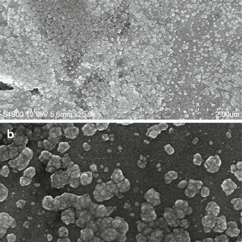 FESM Images Of Nanostructured Indium Oxide Thin Film Sample A Low