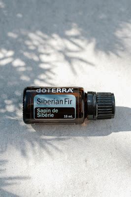 doTERRA szibériai fenyő siberian fir