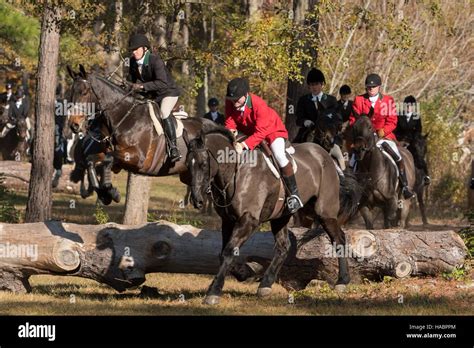 Riders jump a log during the start of the Fox Hunting season at
