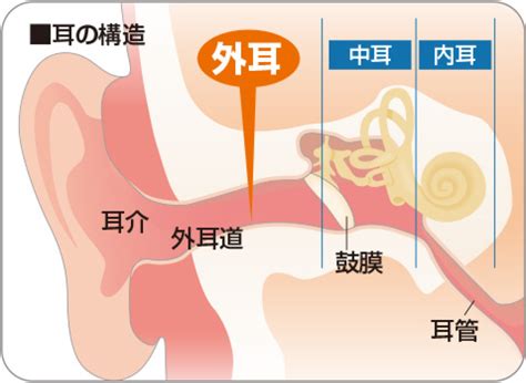 みみの病気 愛知県瀬戸市の耳鼻咽喉科・小児耳鼻咽喉科 こだま耳鼻科クリニック