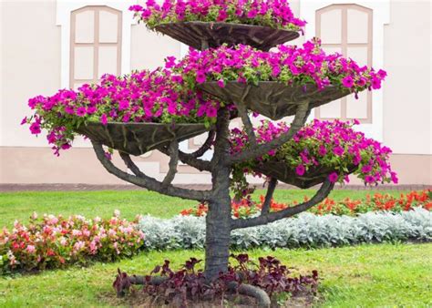 Петуния в ландшафтном дизайне: фото, уход, посадка