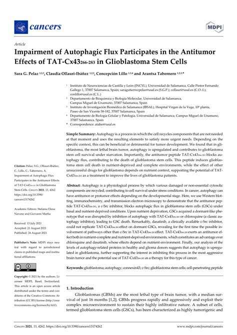 Pdf Impairment Of Autophagic Flux Participates In The Antitumor