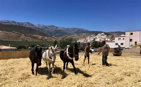 Más de 300 jóvenes agricultores y ganaderos del campo granadino reciben