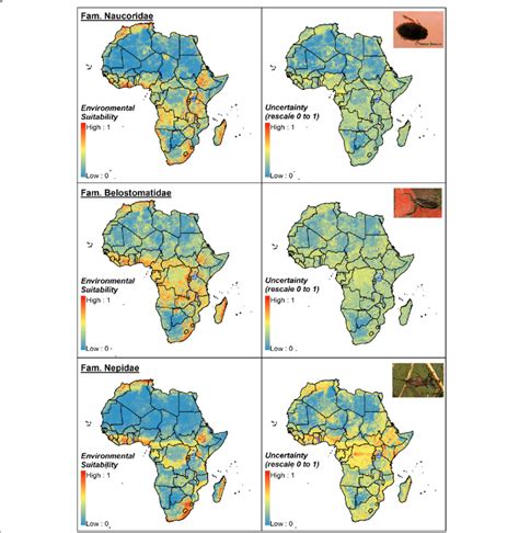 Ensemble Consensus Model For The Hemipteran Families Naucoridae