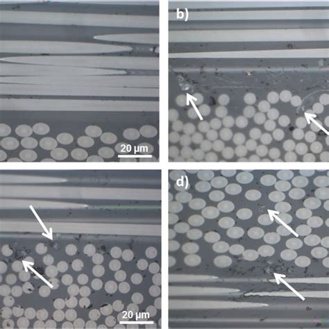 SEM Images Of The Fracture Surfaces Of The Coupons Subjected To 45