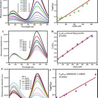 Response Of Bsa Lys To Various Types Of Ros Fluorescence Emission