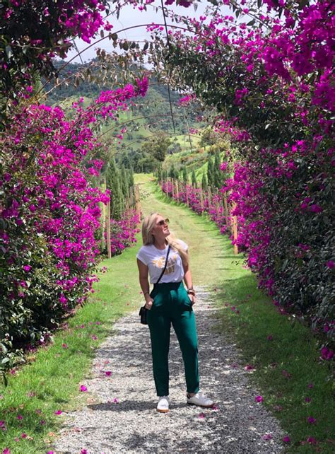 Colombia Valle De Cocora Travel Photography Photography Travel