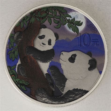 Silbermünze 2x 30g China Panda Night and Day Set 2021 coloriert kaufen