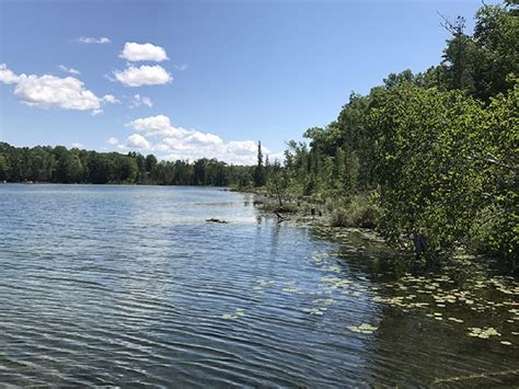 Twin Lakes State Forest Campground | Michigan