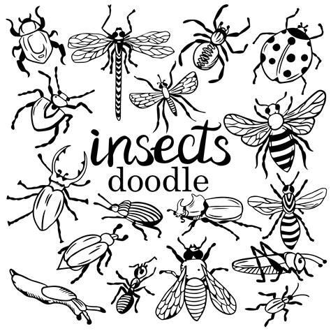 Big Set Of Insects In Doodle In Black By Hand Collection Of Fly Bee