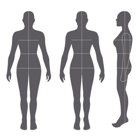 Naked Standing Woman Royalty Free Vector Image