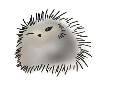 Pupu Projects | Photos, videos, logos, illustrations and branding on ...