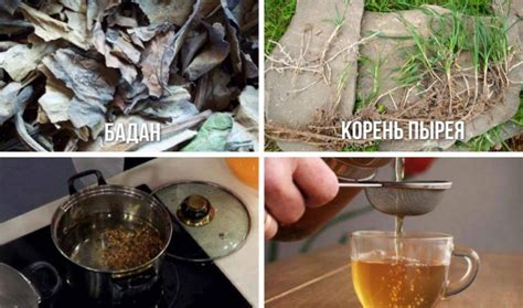 Чай из листьев бадана: лечебные свойства, польза и вред, как заваривать