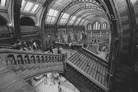 Nhm Main Hall Natural History Museum Entrance Hall Added Flickr