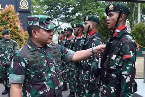 Inilah Batas Usia Pensiun Tni Untuk Pangkat Tamtama Bintara Hingga