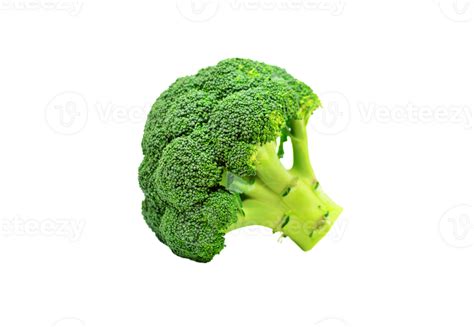 Broccoli Png Transparent Background 29720121 Png