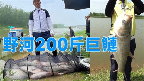 【鄧剛釣魚】野河盪裡尋巨鰱，半天狂拉200斤，這就是釣鰱鳙最大的樂趣 Youtube