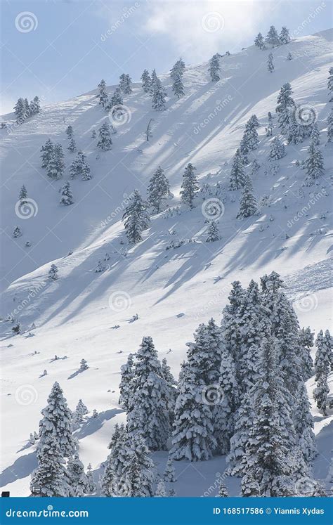 The Ski Center of Kalavryta, Greece. Stock Photo - Image of greece ...