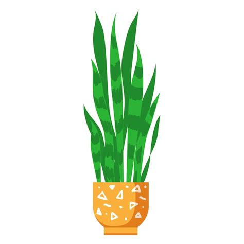 Sansevieria Planta Em Vaso Planta De Casa Ilustra O Vetorial Desenhada